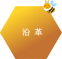 沿革