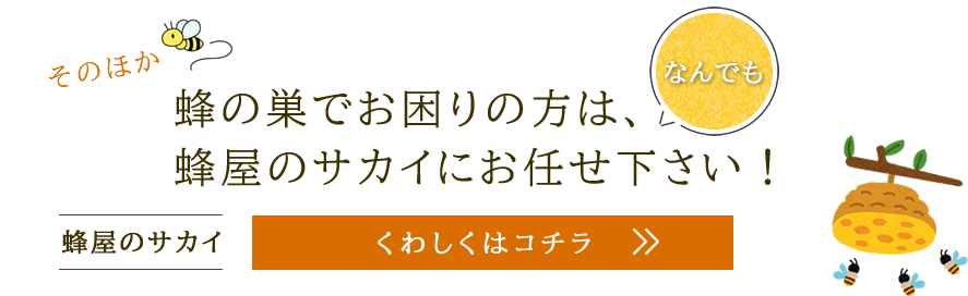 蜂駆除についてのご相談はなんでもお任せ下さい！蜂屋のサカイ くわしくはコチラ