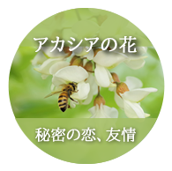アカシアの花：秘密の恋、友情