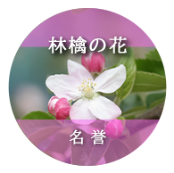 林檎の花：名誉