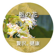 栃の花：贅沢、健康