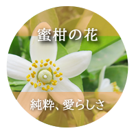蜜柑の花：純粋、愛らしさ