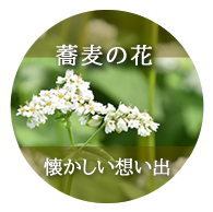 蕎麦の花：懐かしい想い出