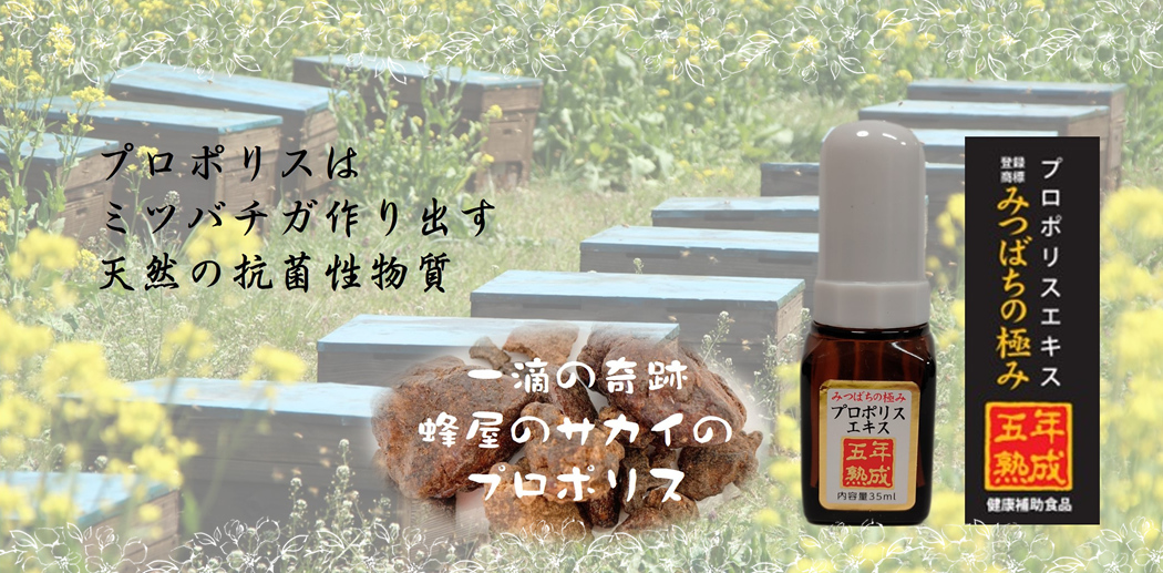 プロポリスエキス　みつばちの極み　五年熟成
